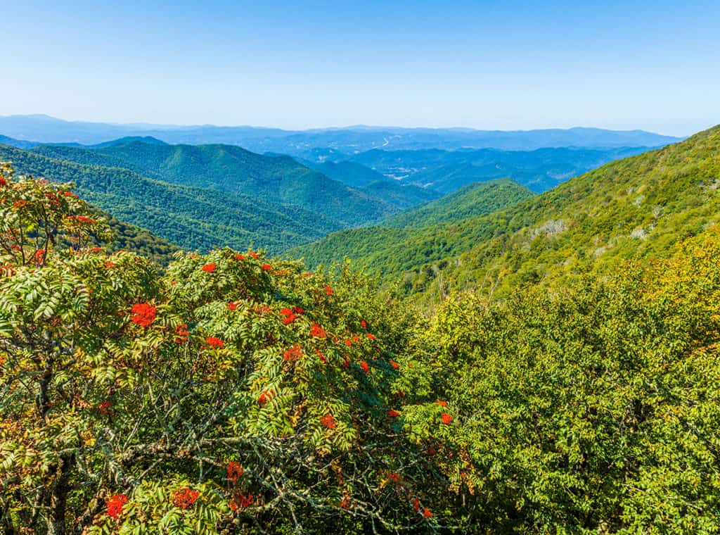 Two Double Beds with Sleeper Sofa smoky mountains in summer