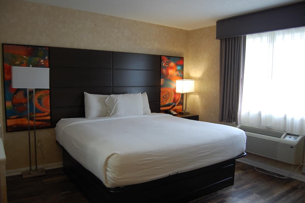King Mini Suite couch hotel room