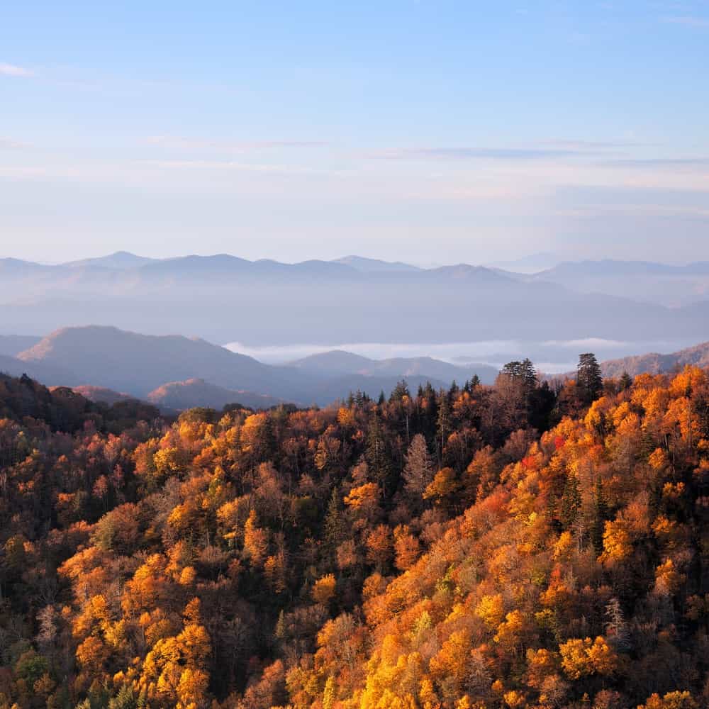 Sunrise in the Great Smoky Mountains during autumn