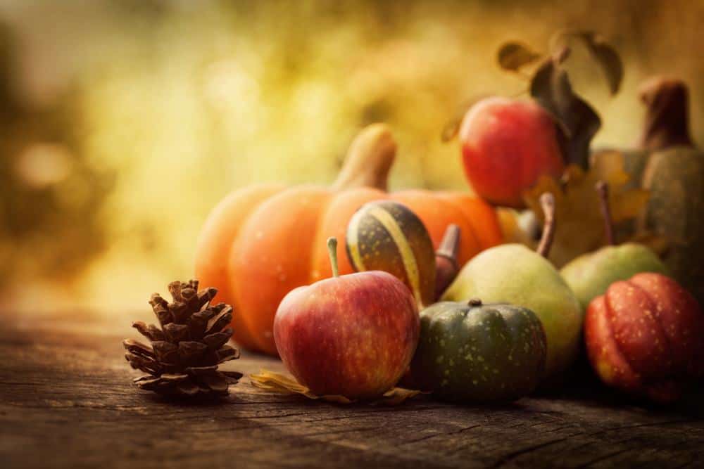 Autumn pumpkins and fruit display