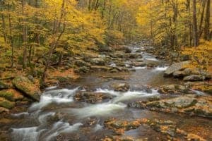 A stream in Pigeon Forge lined with fall colors.