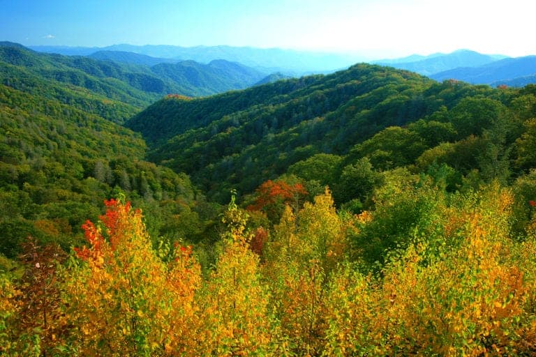 Top 4 Things You Have to Do in the Smoky Mountains National Park