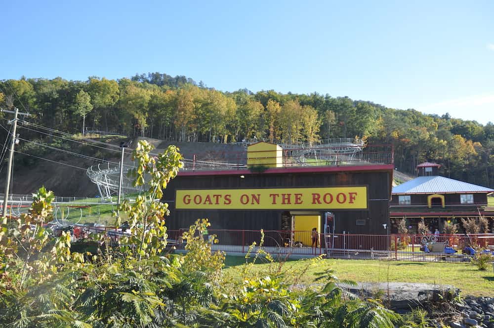 goats on the roof in pigeon forge sign and mountain coaster